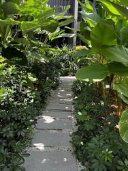 Park Colonial (D13), Condominium #346916751